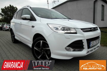 Salon Polska Individual 4x4 Kamera Xenon Skóra